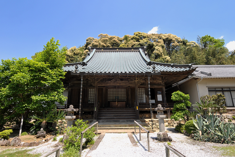 観光情報の外観